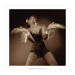 Sepia Butterfly - 30 x 30 cm print